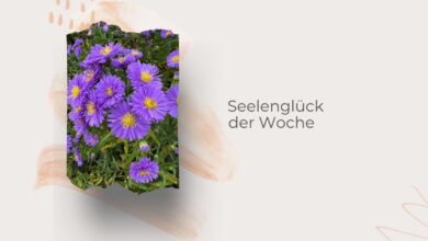 Seelenglück-Sommer, Herbst und ein Schneeball-lifewithaglow