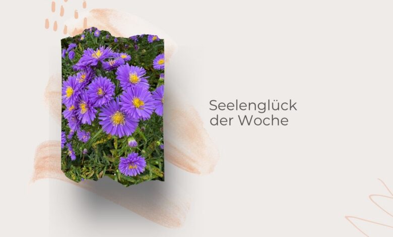 Seelenglück-Sommer, Herbst und ein Schneeball-lifewithaglow
