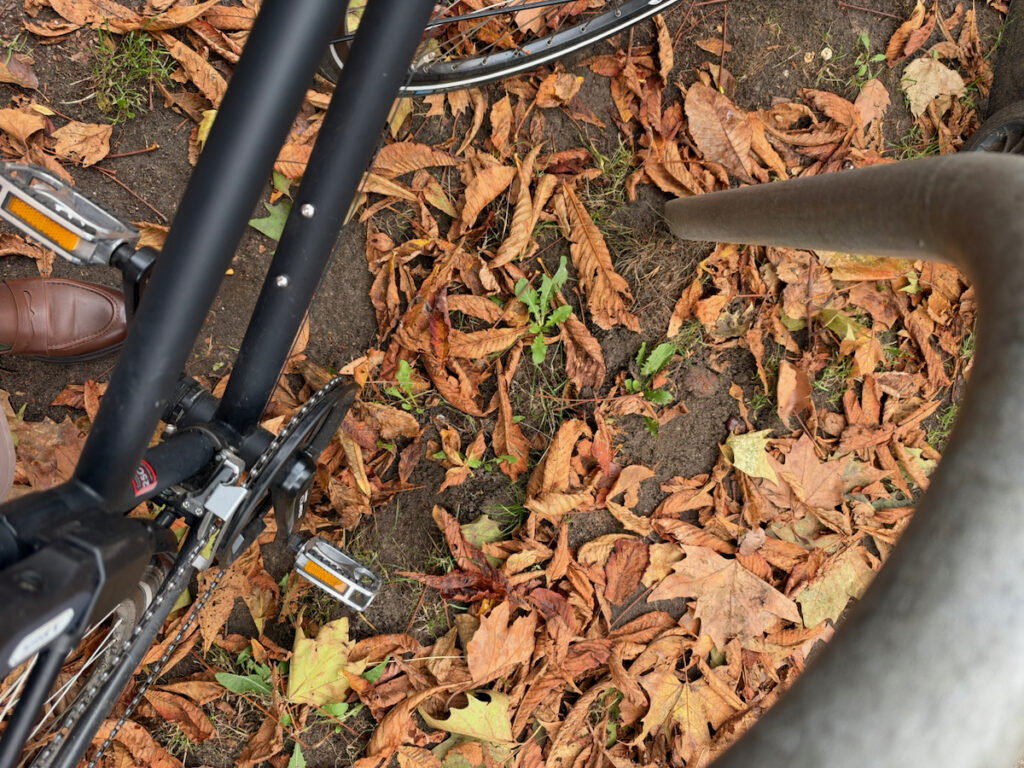 Seelenglück im Herbst-von A wie alte Rollen bis Z wie Zahnarzt-lifewithaglow