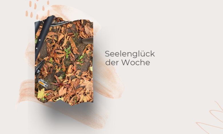 Seelenglück im Herbst-von A wie alte Rollen bis Z wie Zahnarzt-lifewithaglow
