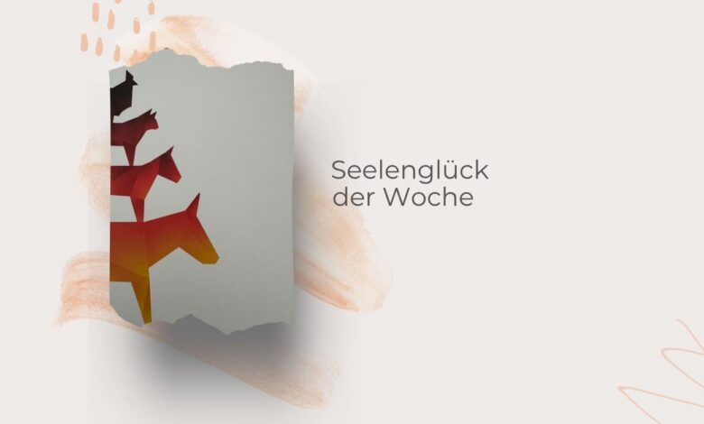 Seelenglück im goldenen Herbst-von Kerzenlicht und Sommerresten-lifewithaglow