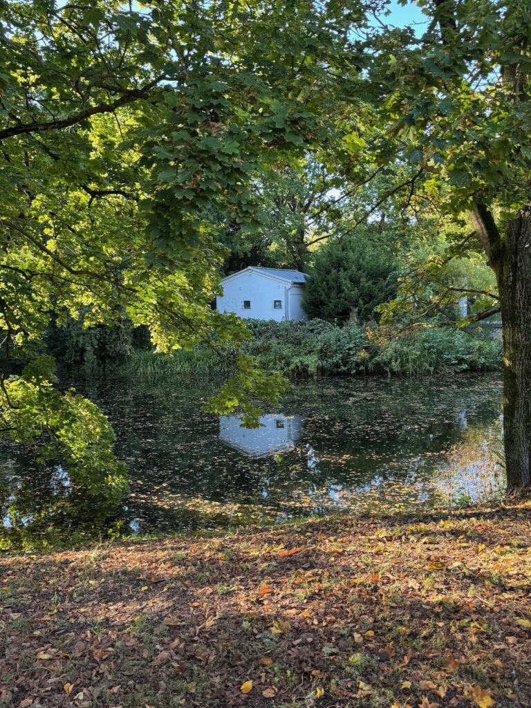 Seelenglück im goldenen Herbst-von Kerzenlicht und Sommerresten-lifewithaglow Seelenglück im goldenen Herbst-von Kerzenlicht und Sommerresten-lifewithaglow